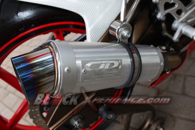 Elegant Sporty Ninja 250R